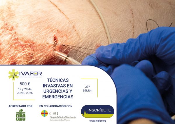 Curso Técnicas Invasivas en Urgencias y Emergencias (Edición Valencia)